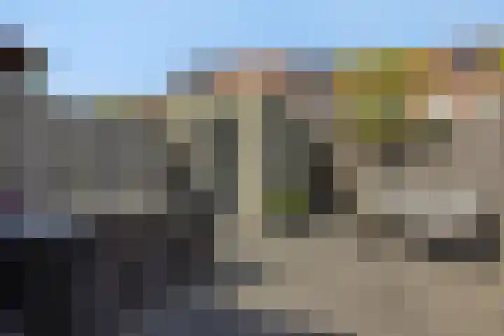 Rietven 50 Deurne thumbnail 25