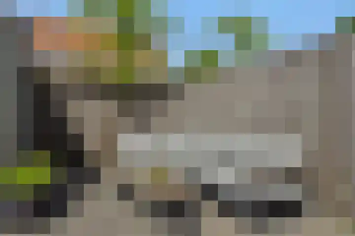 Rietven 50 Deurne thumbnail 27