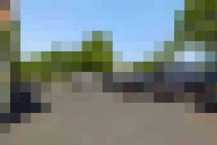 Rietven 50 Deurne thumbnail 29