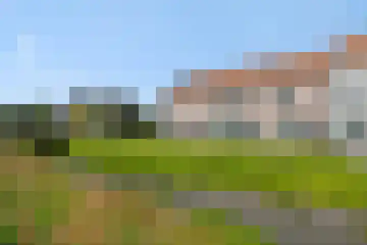 Rietven 50 Deurne thumbnail 30