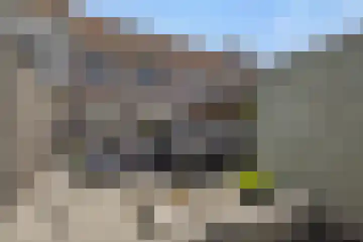 Rietven 50 Deurne thumbnail 5