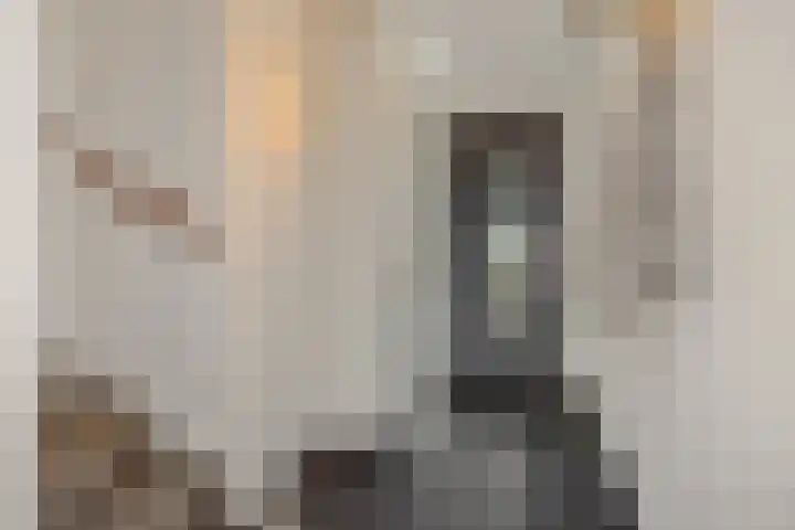 Rietven 50 Deurne thumbnail 6