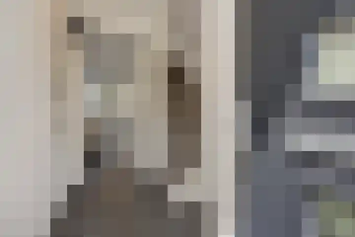 Rietven 50 Deurne thumbnail 7