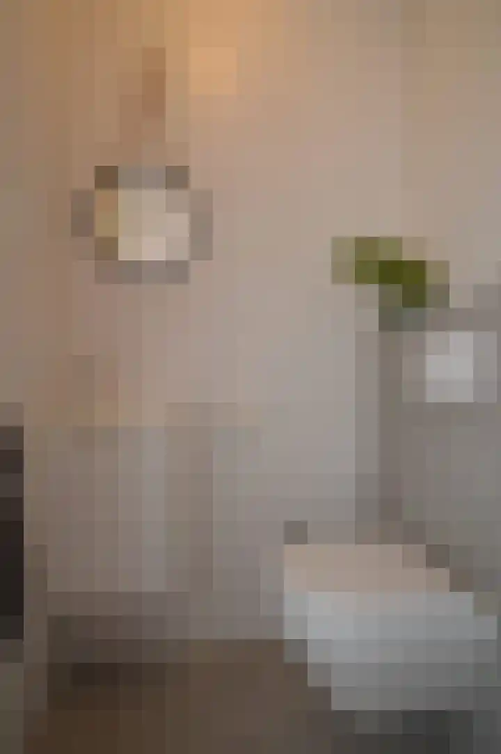 Rietven 60 Deurne thumbnail 11