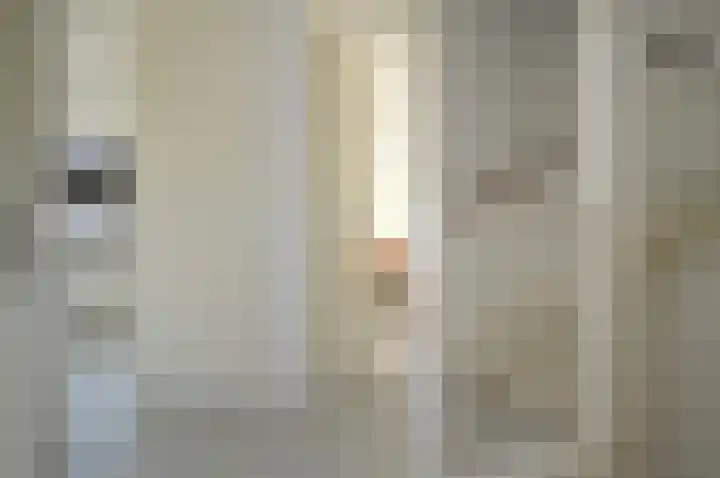Rietven 60 Deurne thumbnail 13