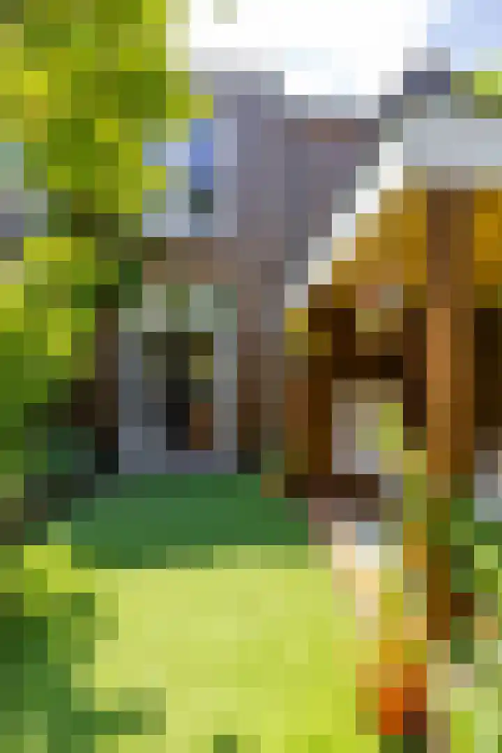 Rietven 60 Deurne thumbnail 31
