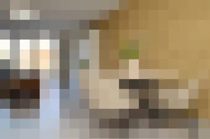 Rietven 60 Deurne thumbnail 4