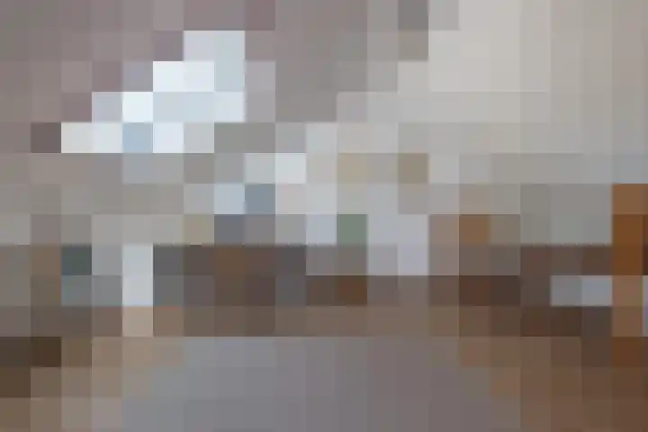 Rietven 60 Deurne thumbnail 6