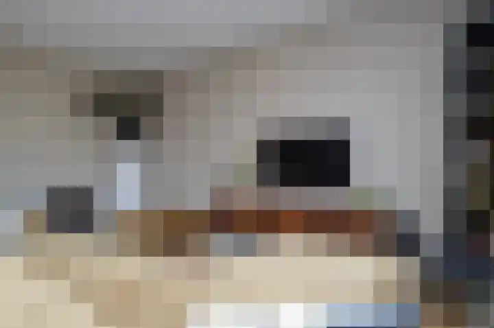 Rietven 60 Deurne thumbnail 7
