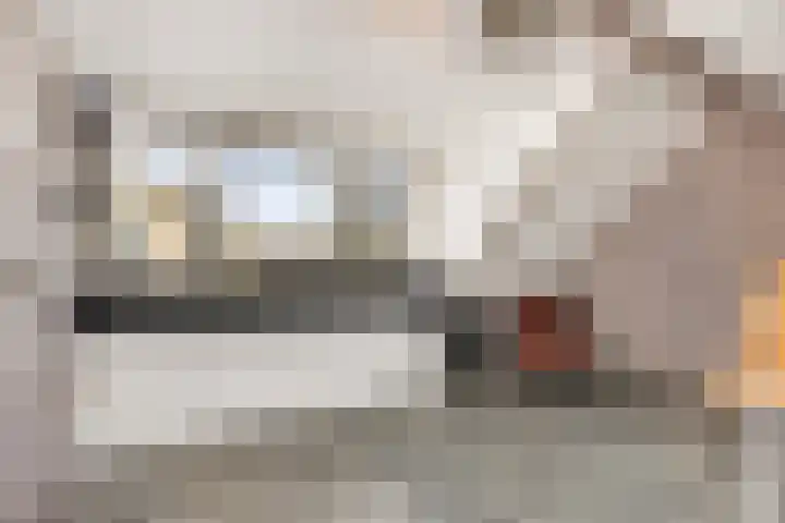 Rietven 60 Deurne thumbnail 9