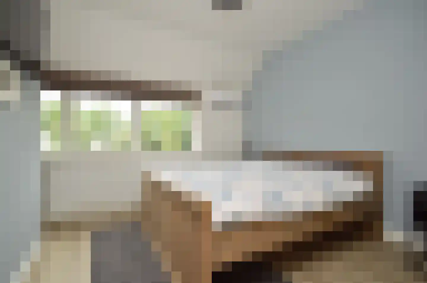 Rietven 70 Deurne thumbnail 11