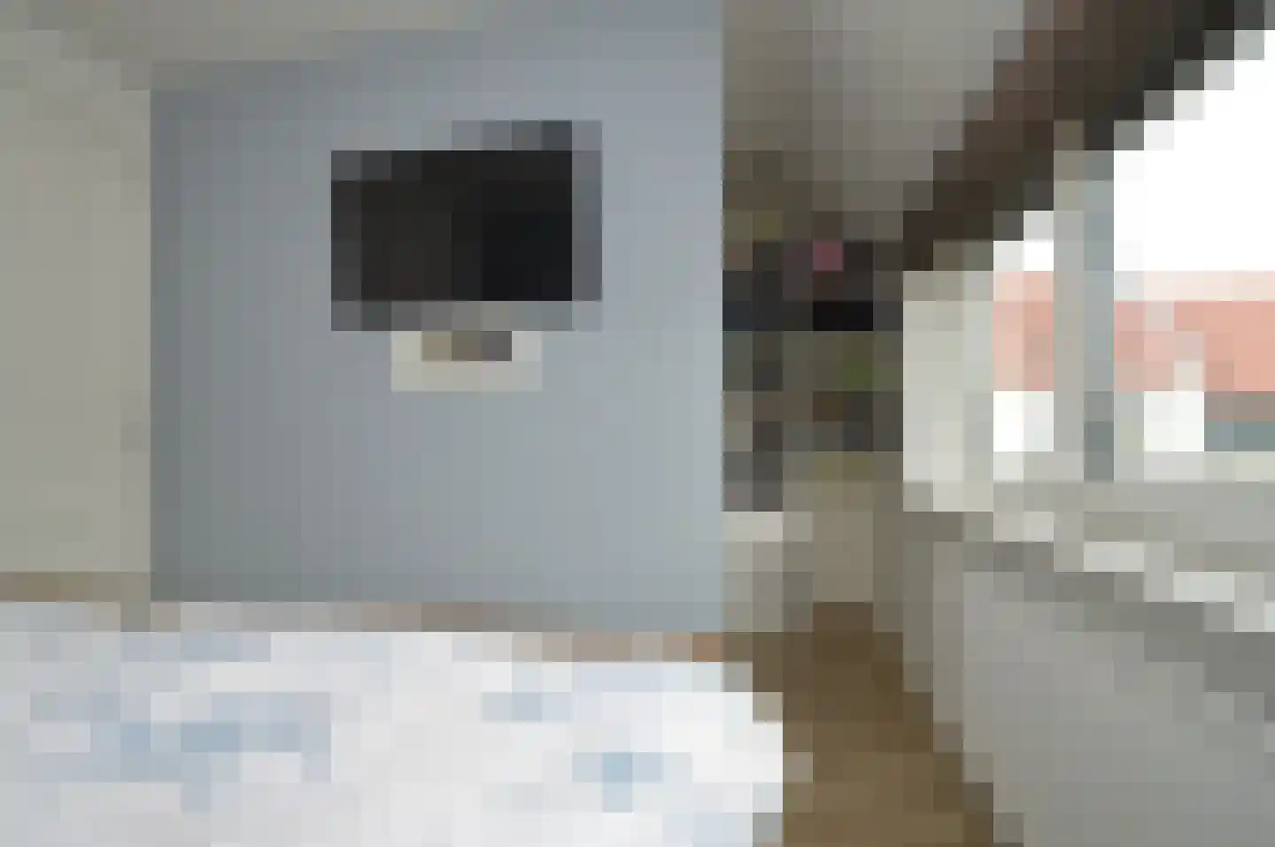Rietven 70 Deurne thumbnail 12
