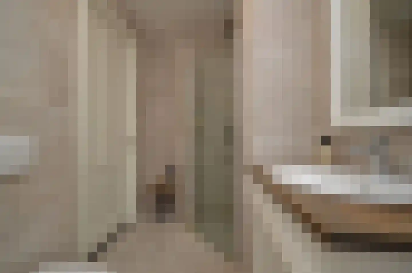 Rietven 70 Deurne thumbnail 17