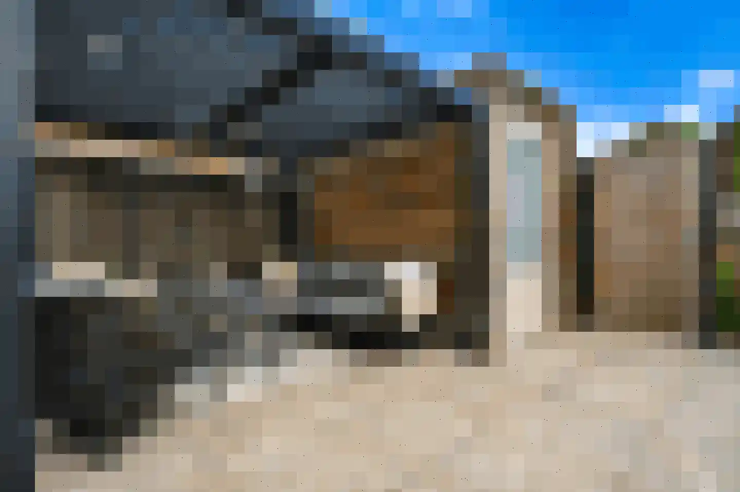 Rietven 70 Deurne thumbnail 23