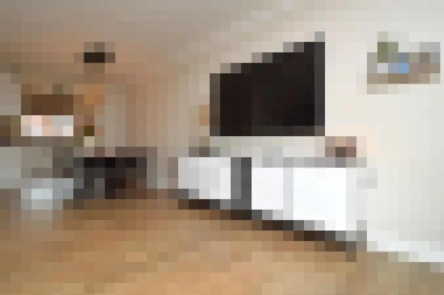 Rietven 70 Deurne thumbnail 4