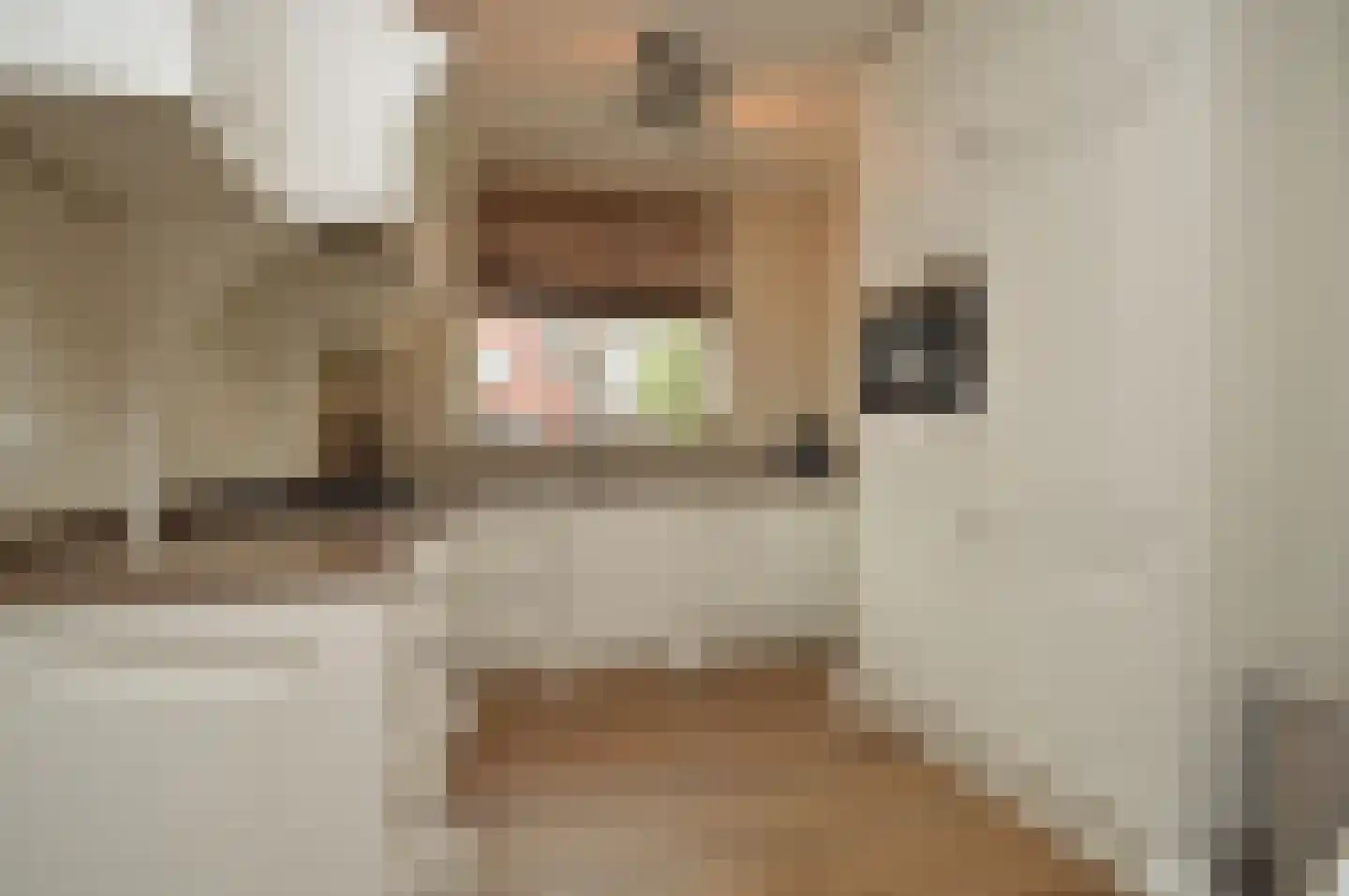 Rietven 70 Deurne thumbnail 6