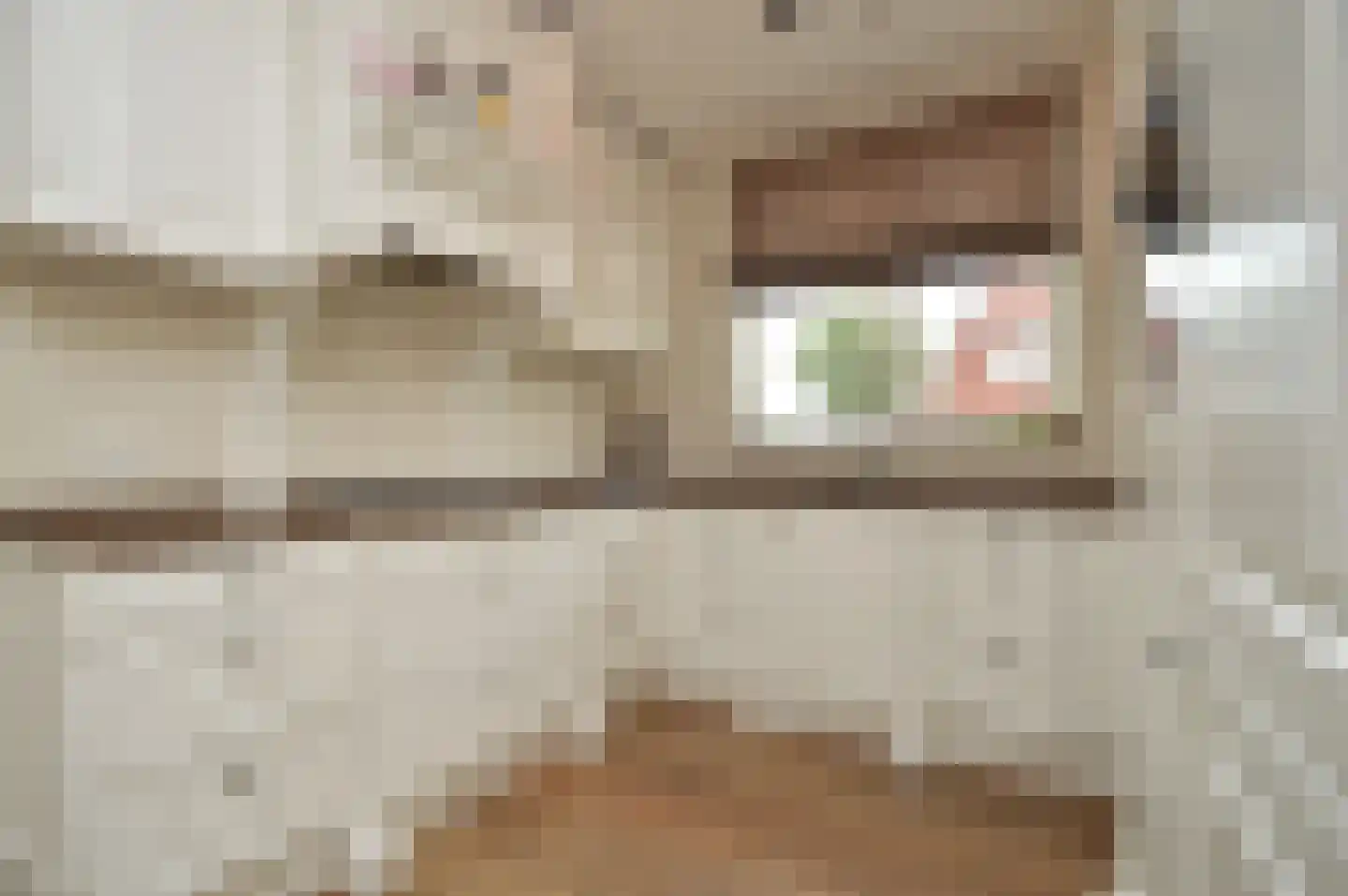 Rietven 70 Deurne thumbnail 7