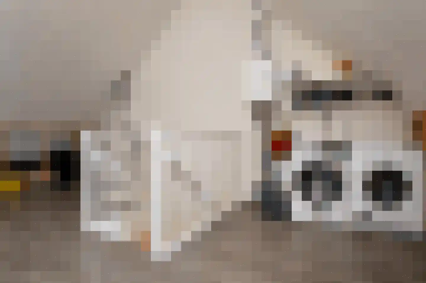 Rietven 78 Deurne thumbnail 15