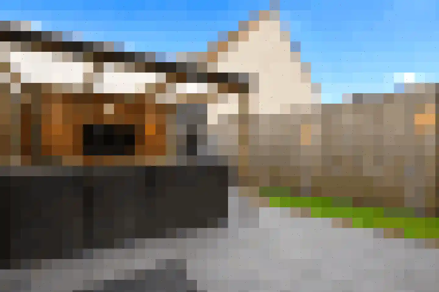 Rietven 78 Deurne thumbnail 18