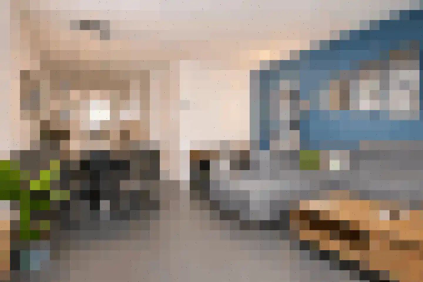 Rietven 78 Deurne thumbnail 5
