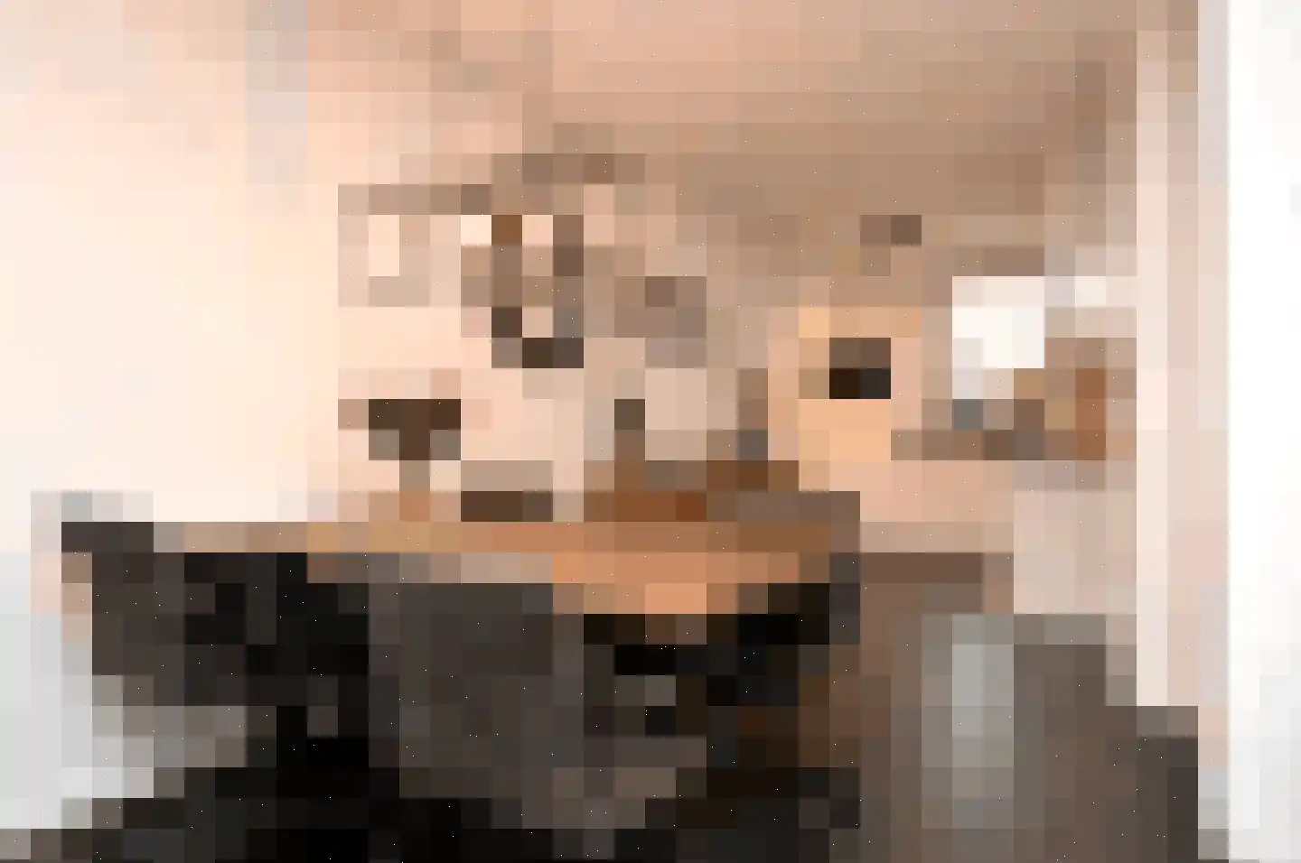 Rietven 78 Deurne thumbnail 6