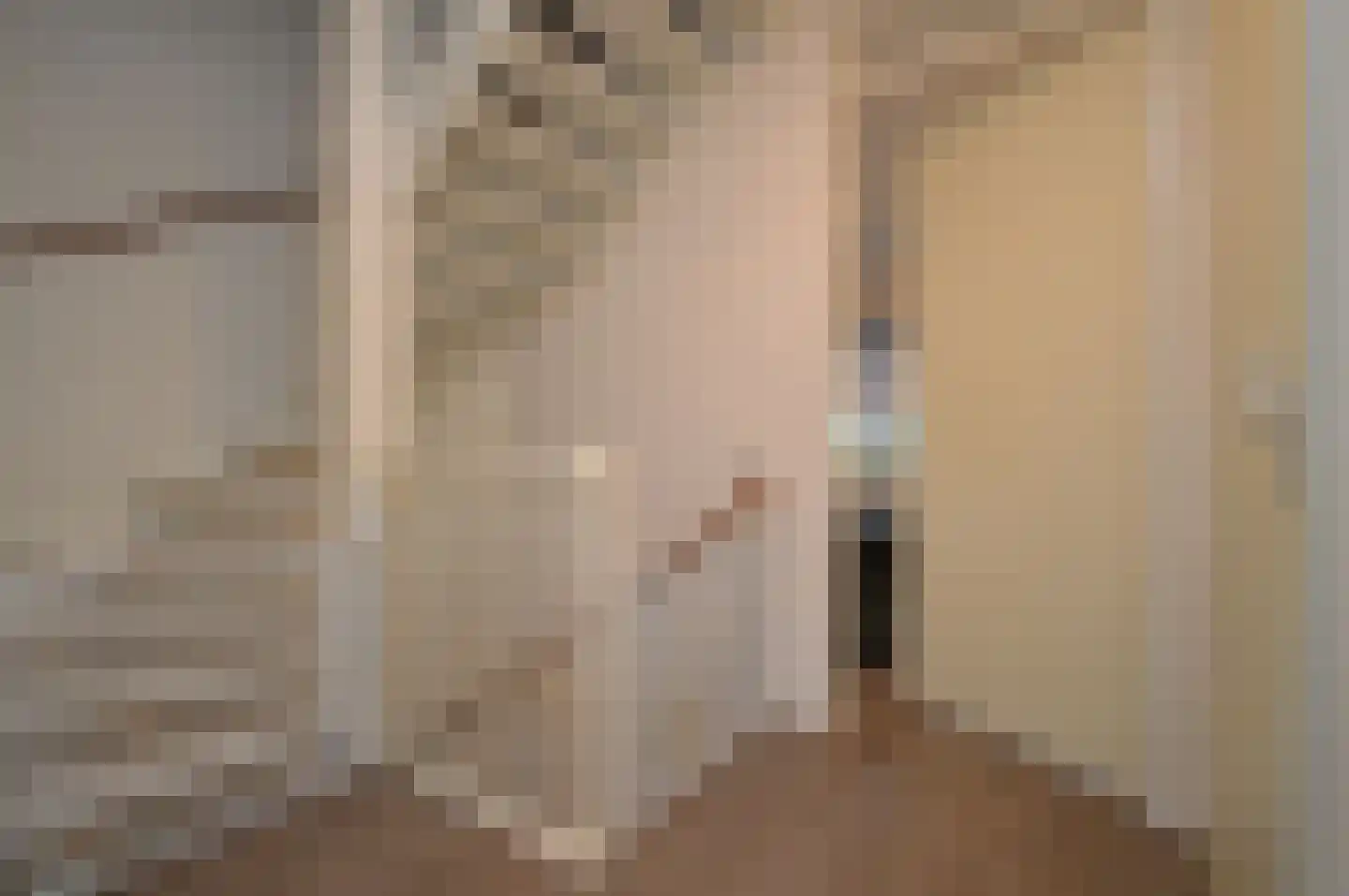 Rietven 78 Deurne thumbnail 8