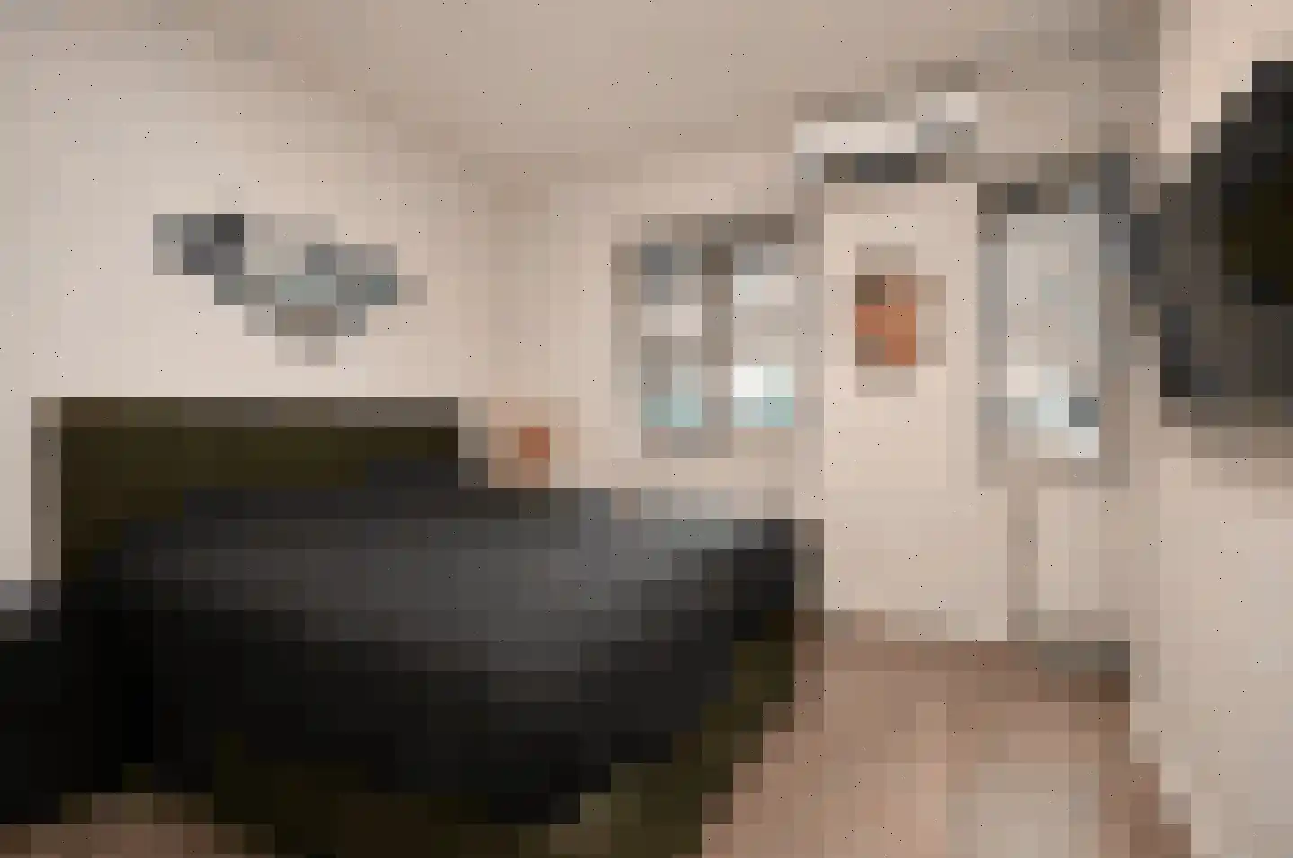 Rietven 78 Deurne thumbnail 9