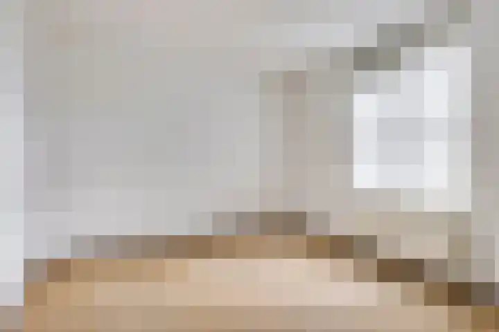 Rietven 8 Veghel thumbnail 16