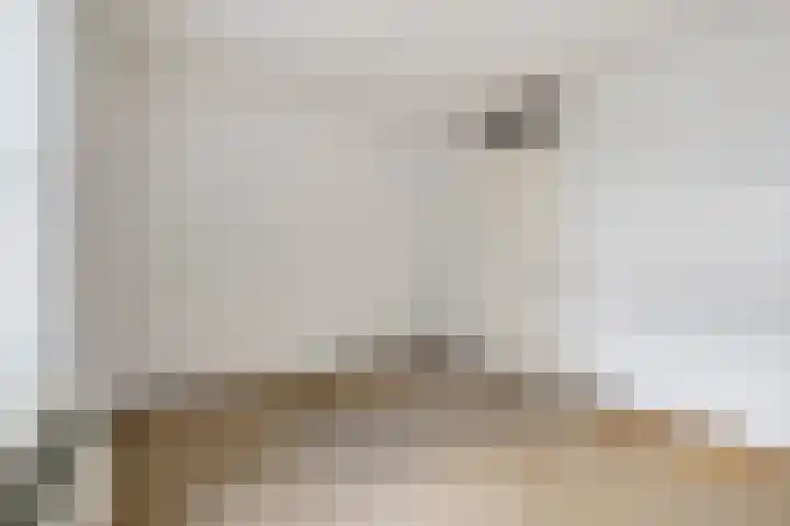 Rietven 8 Veghel thumbnail 18