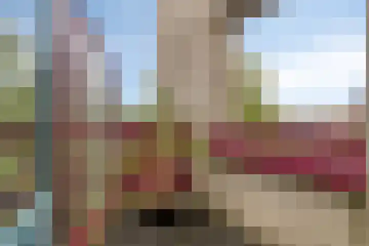Rietven 8 Veghel thumbnail 23