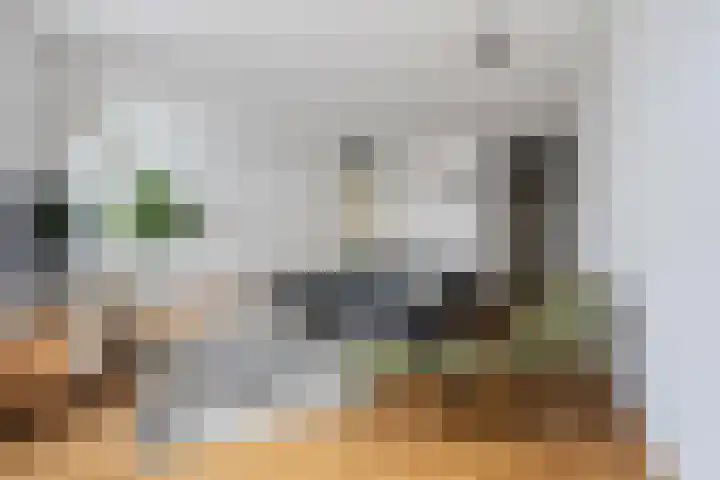 Rietven 8 Veghel thumbnail 4