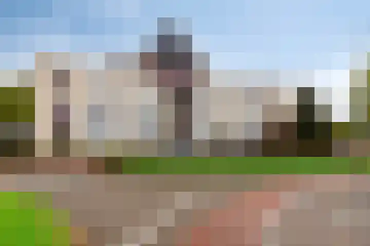 Rietven 8 Veghel thumbnail 8