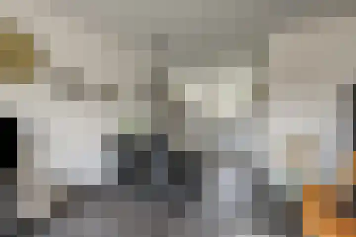 Rietven 82 Deurne thumbnail 11
