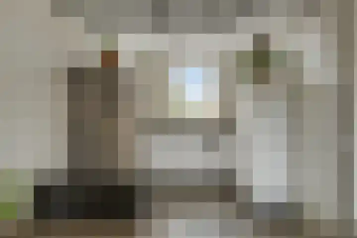 Rietven 82 Deurne thumbnail 12