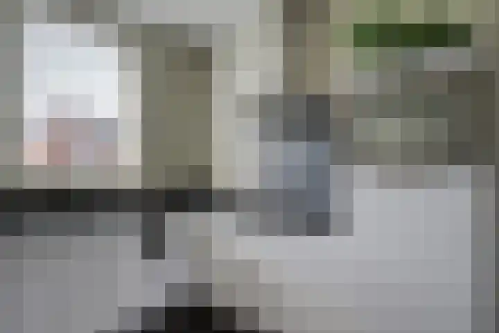 Rietven 82 Deurne thumbnail 13