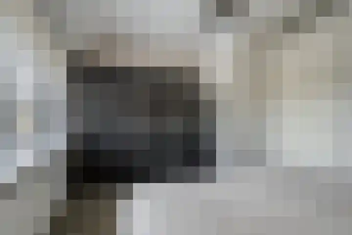 Rietven 82 Deurne thumbnail 17
