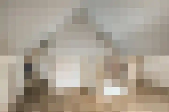 Rietven 82 Deurne thumbnail 22