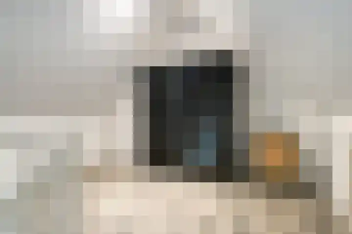 Rietven 82 Deurne thumbnail 23