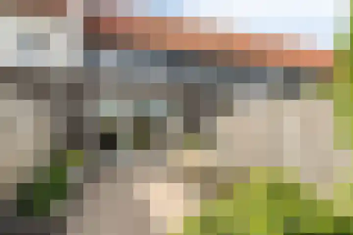 Rietven 82 Deurne thumbnail 24