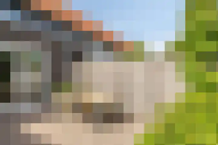 Rietven 82 Deurne thumbnail 25