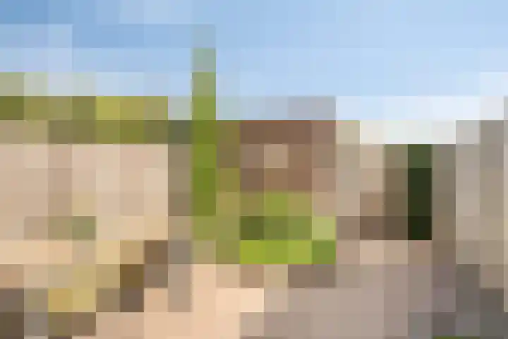 Rietven 82 Deurne thumbnail 26