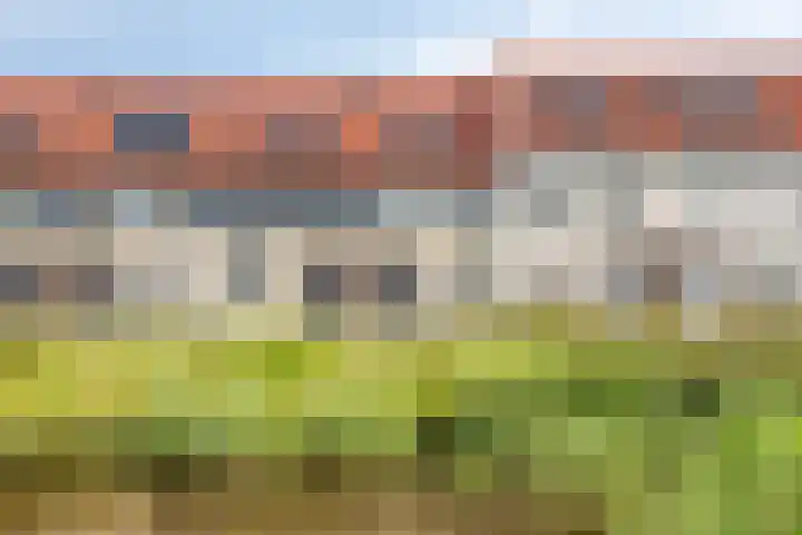 Rietven 82 Deurne thumbnail 28