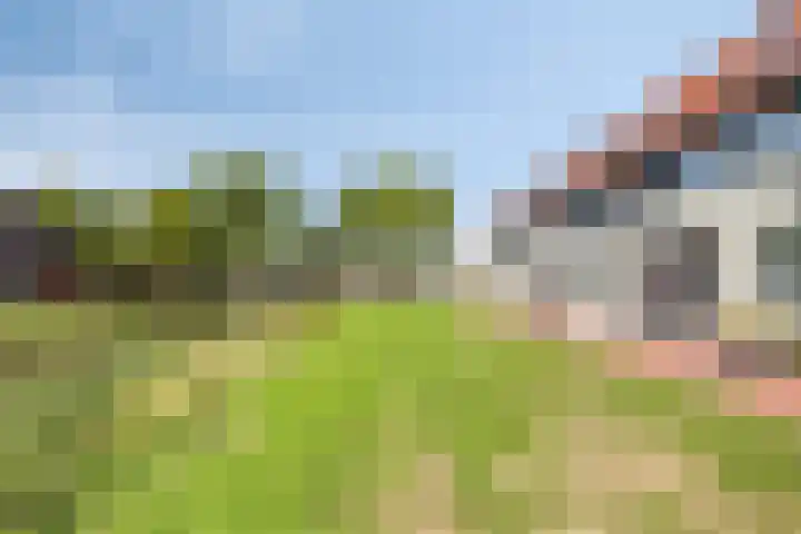 Rietven 82 Deurne thumbnail 29