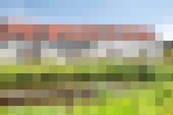 Rietven 82 Deurne thumbnail 30