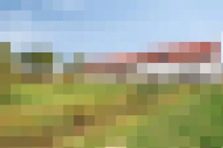 Rietven 82 Deurne thumbnail 31