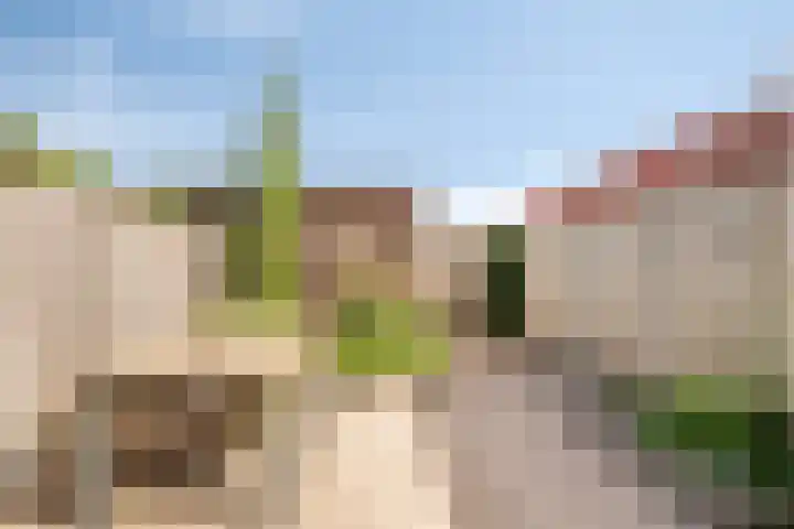 Rietven 82 Deurne thumbnail 5