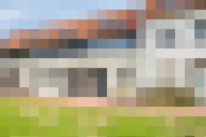 Rietven 82 Deurne thumbnail 6
