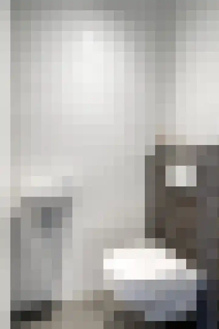 Rietven 82 Deurne thumbnail 8
