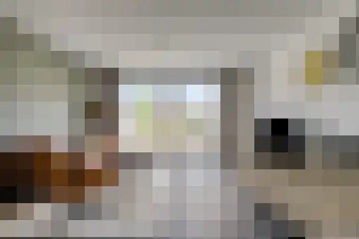 Rietven 82 Deurne thumbnail 9
