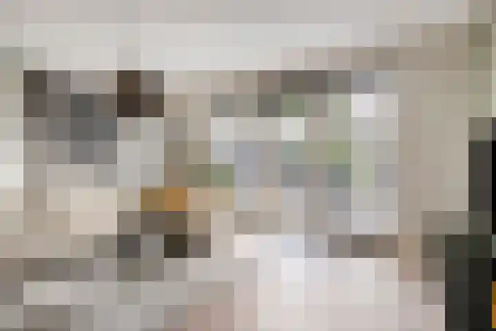 Rietven 90 Deurne thumbnail 10